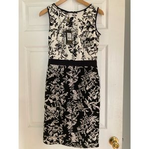 Tadashi Shoji neoprene dress NWT